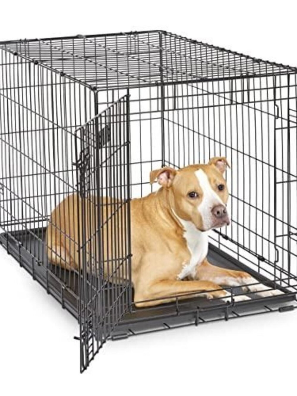 MidWest Homes for Pets 36-Inch iCrate Folding Dog Crate with Divider Panel, Leak